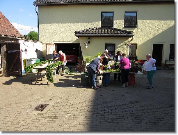 Nächstes Bild